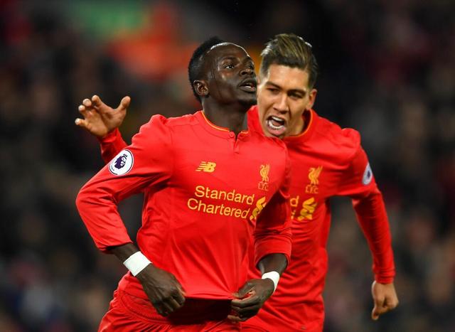 熊之间的竞 熊之间的竞